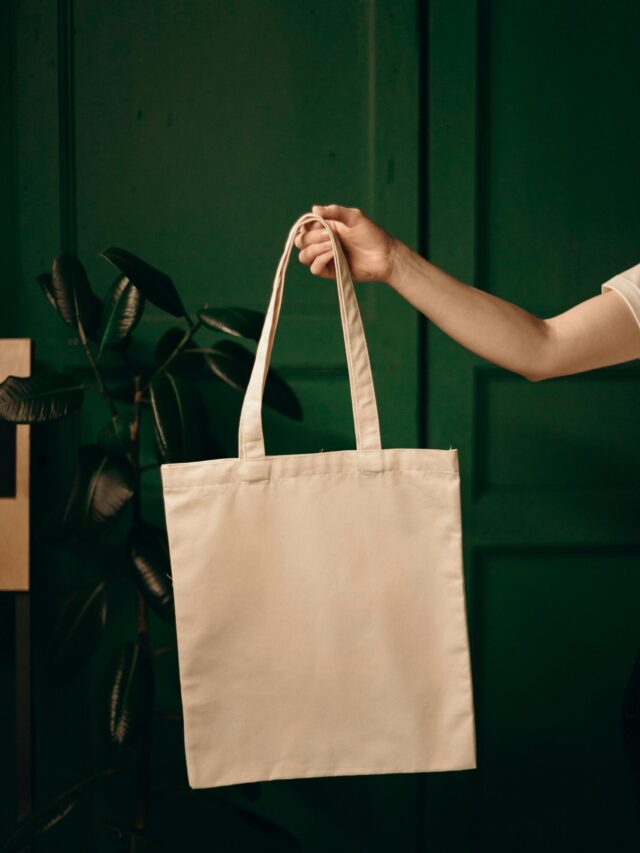 Tote Time: The Must-Have Bag